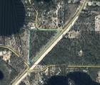 18.8 Acres Fl-77 - Photo 2