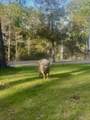 902 Clearview Street - Photo 32