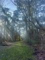 902 Clearview Street - Photo 33