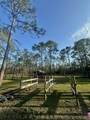 902 Clearview Street - Photo 41