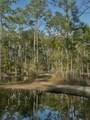 902 Clearview Street - Photo 43