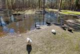 902 Clearview Street - Photo 49