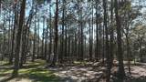 902 Clearview Street - Photo 54