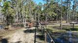 902 Clearview Street - Photo 56