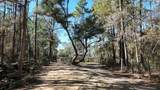 902 Clearview Street - Photo 86