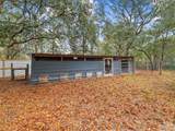 241 Abt Martin Avenue - Photo 56