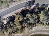 Lot 20 Spirit Bear Way - Photo 4