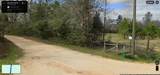 00 Near Otter Pond - Photo 2