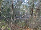 TBD Ruckel Drive - Photo 6