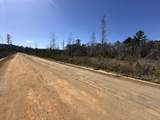 Tract#6402 N Chance Road - Photo 3