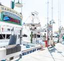 10 Harbor Boulevard - Photo 49