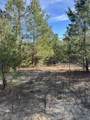 5225 Kimp Road - Photo 3