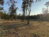 0000 Strickland Road - Photo 10