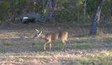 0000 Strickland Road - Photo 14