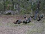 0000 Strickland Road - Photo 15