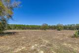 6.74 Acres Highway 90 - Photo 7