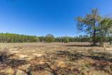 6.74 Acres Highway 90 - Photo 9