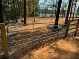 Lot 1 Bk A Cat Island Road - Photo 6
