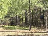 Tract#6416 Douglas Ferry North Road - Photo 17