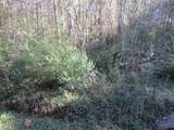 Lot 12 Churchill Bayou Road - Photo 1