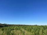 Parcel J Buck Tyner Road - Photo 10