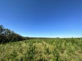 Parcel J Buck Tyner Road - Photo 11
