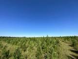 Parcel J Buck Tyner Road - Photo 12
