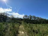 Parcel J Buck Tyner Road - Photo 13