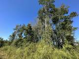 Parcel J Buck Tyner Road - Photo 9