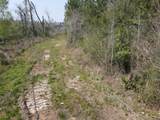 58+/ Acres South Street - Photo 15