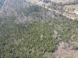 58+/ Acres South Street - Photo 8