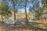 446 Marion Drive - Photo 4