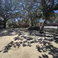 4 Magnolia Drive - Photo 41