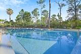 1143 Sandgrass Boulevard - Photo 48