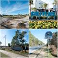 TBD Baird Road - Photo 14