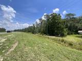 TBD Us Hwy 331 - Photo 11