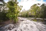 TBD Pine Lane - Photo 10