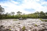 TBD Pine Lane - Photo 19