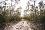 TBD Pine Lane - Photo 9