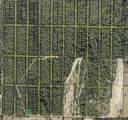 Lots 1 & 2 Dorcas Road - Photo 1