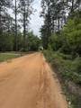 Lot 5 Olive Lane - Photo 4