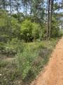 Lot 5 Olive Lane - Photo 5