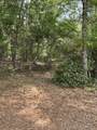 Lot 5 Olive Lane - Photo 9