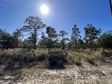 Lot 3 Jeep Road - Photo 10
