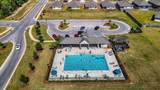 810 Otto Loop Loop - Photo 31