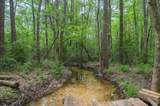 6188 Old River Road - Photo 33