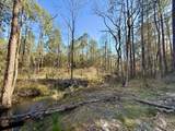 3.45 Acres Bob Mccaskill Drive - Photo 5