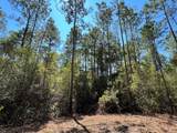 10.7 Acres Juniper Lake Road - Photo 4