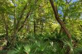 Lot 39 Ansley Forest Drive - Photo 7