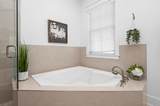 50 Cinnamon Fern Lane - Photo 25